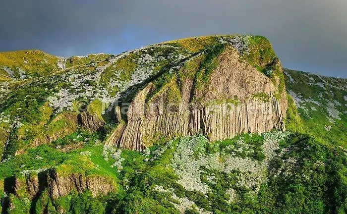 Διαμέρισμα Flor